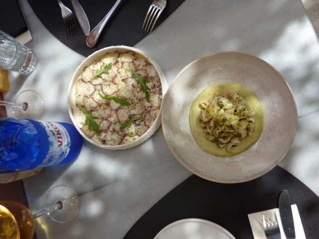 P1050100.JPG